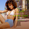 Audiobook cover of At The Zoo (Audio) by Emme Cox