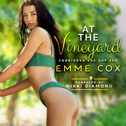 Audiobook cover of At The Vineyard (Audio) by Emme Cox