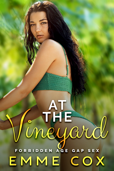 Ebook cover of At The Vineyard by Emme Cox