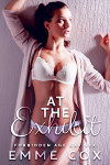 Ebook cover of At The Exhibit by Emme Cox