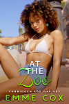 Ebook cover of At The Zoo by Emme Cox