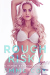 Ebook cover of Rough & Risky by Emme Cox