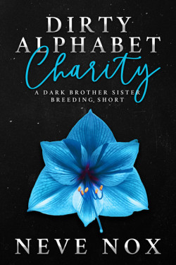 Ebook cover of Dirty Alphabet - Charity by Neve Nox
