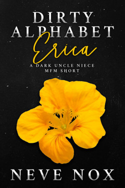 Ebook cover of Dirty Alphabet - Erica by Neve Nox