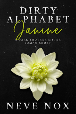Ebook cover of Dirty Alphabet - Janine by Neve Nox