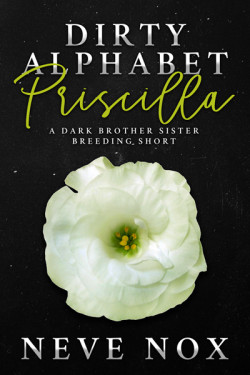Ebook cover of Dirty Alphabet - Priscilla by Neve Nox