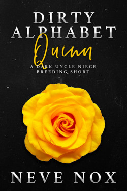 Ebook cover of Dirty Alphabet - Quinn by Neve Nox